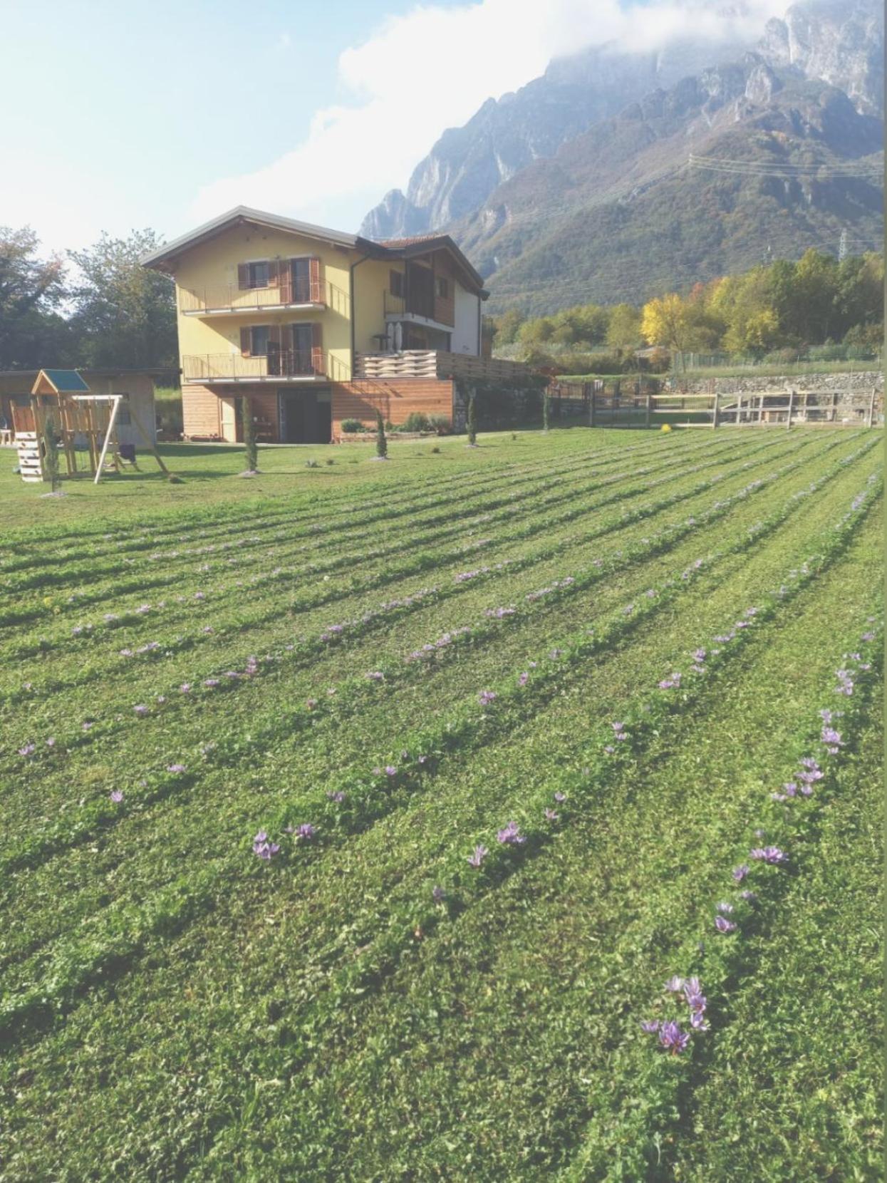 Azienda Agricola Agriturismo I Sei Petali Capo di Ponte Zewnętrze zdjęcie